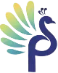 Peack Agency