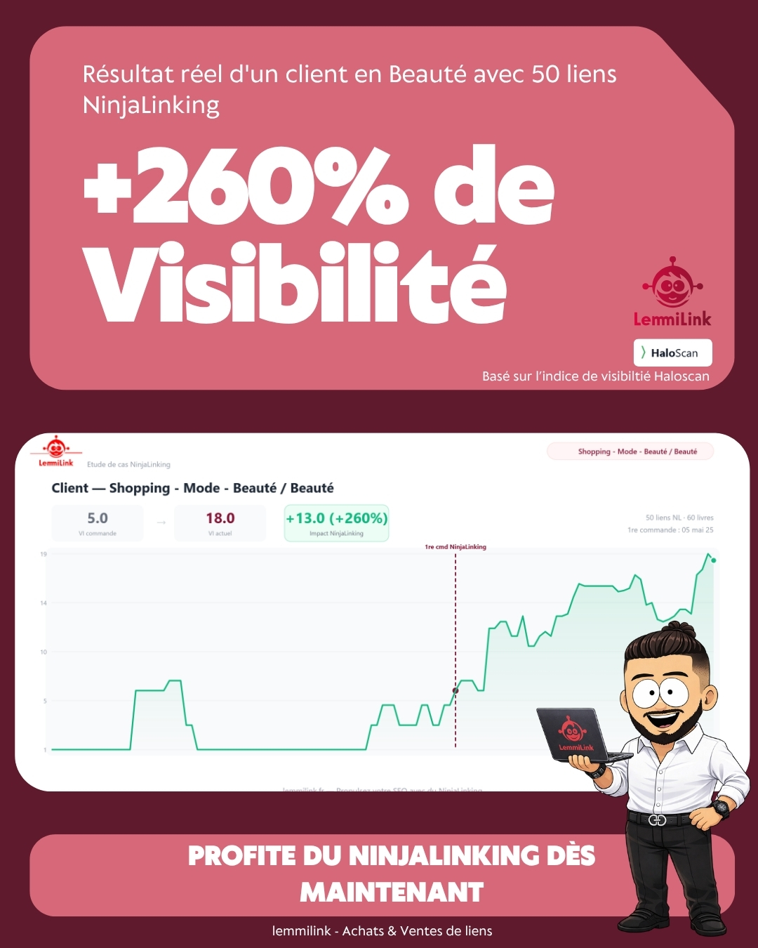 Ecommerce +11% visibilité - 20 liens NinjaLinking