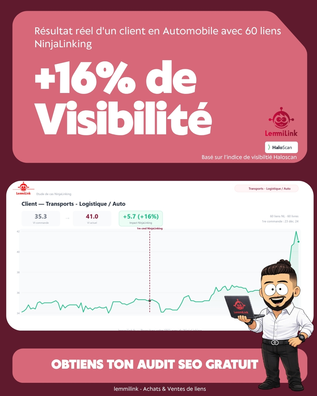 Automobile +16% visibilité - 60 liens NinjaLinking