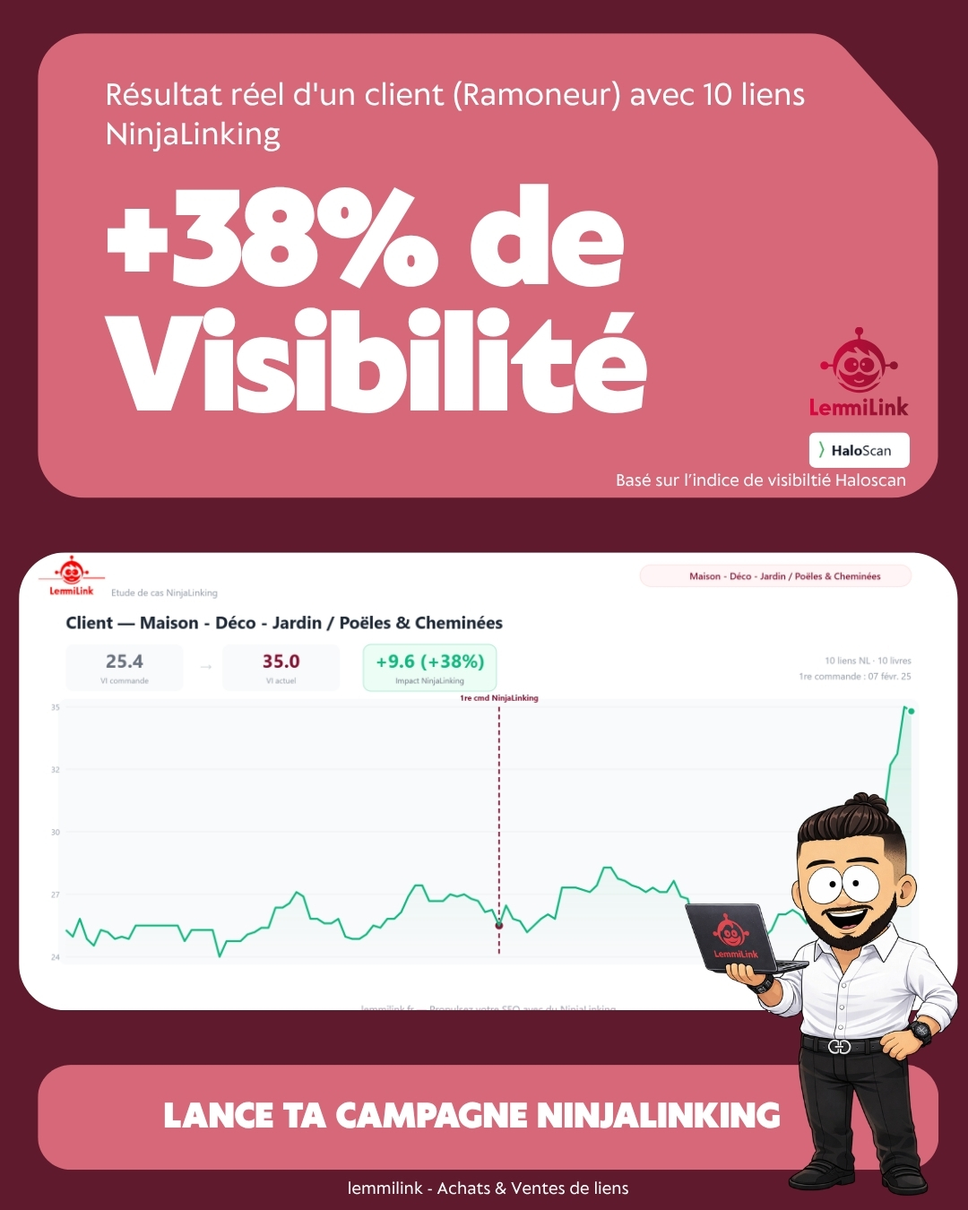 Ramonage +38% visibilité - 10 liens NinjaLinking